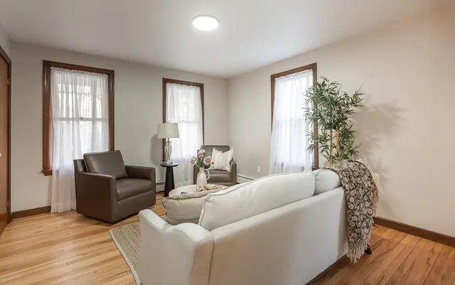 a living room with furniture and a potted plant