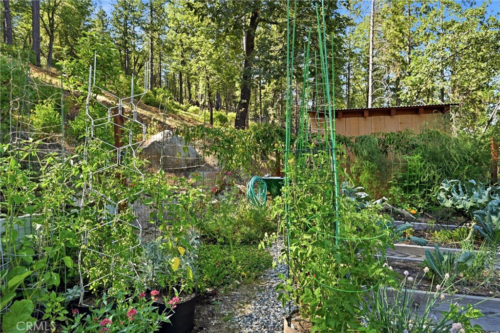 11240 Loch Lomond Road Middletown, CA 95461 - Photo 41 of 54 garden