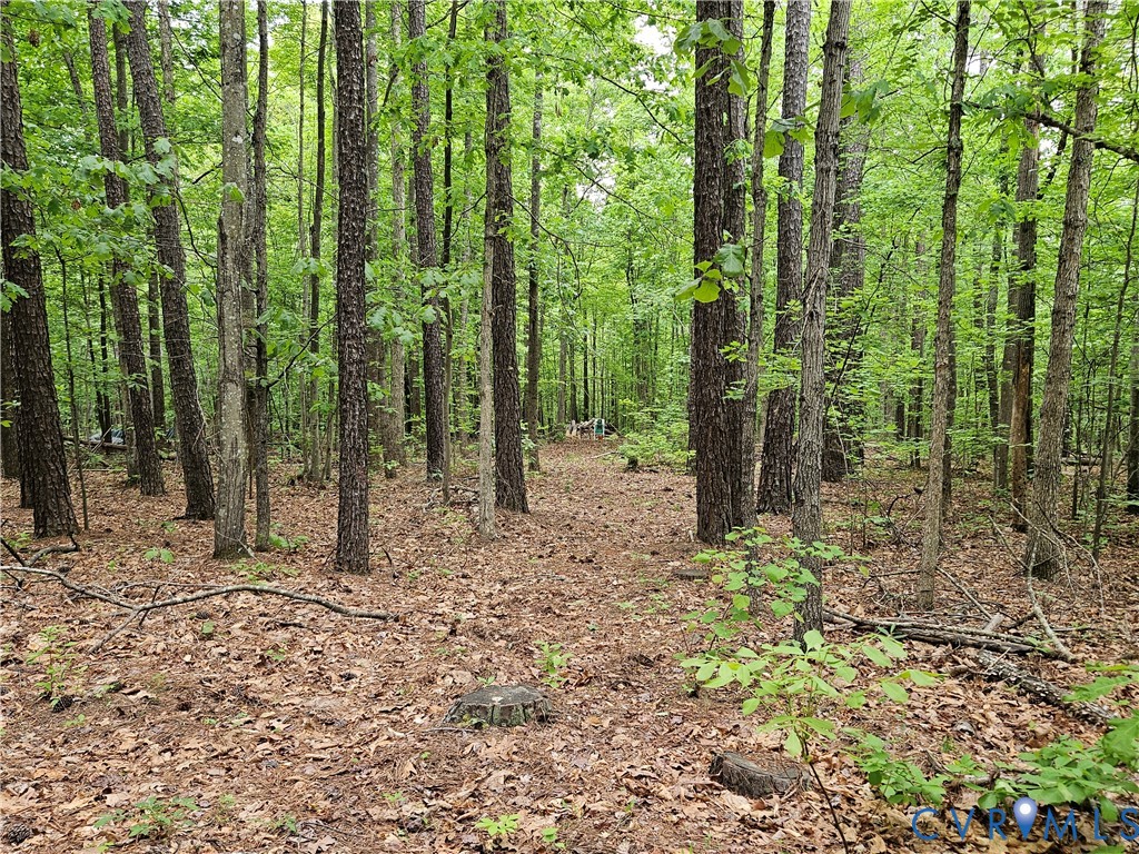 981 Scotts Bottom Road Dillwyn, VA 23936 - Photo 47 of 73 Gallery Image 47