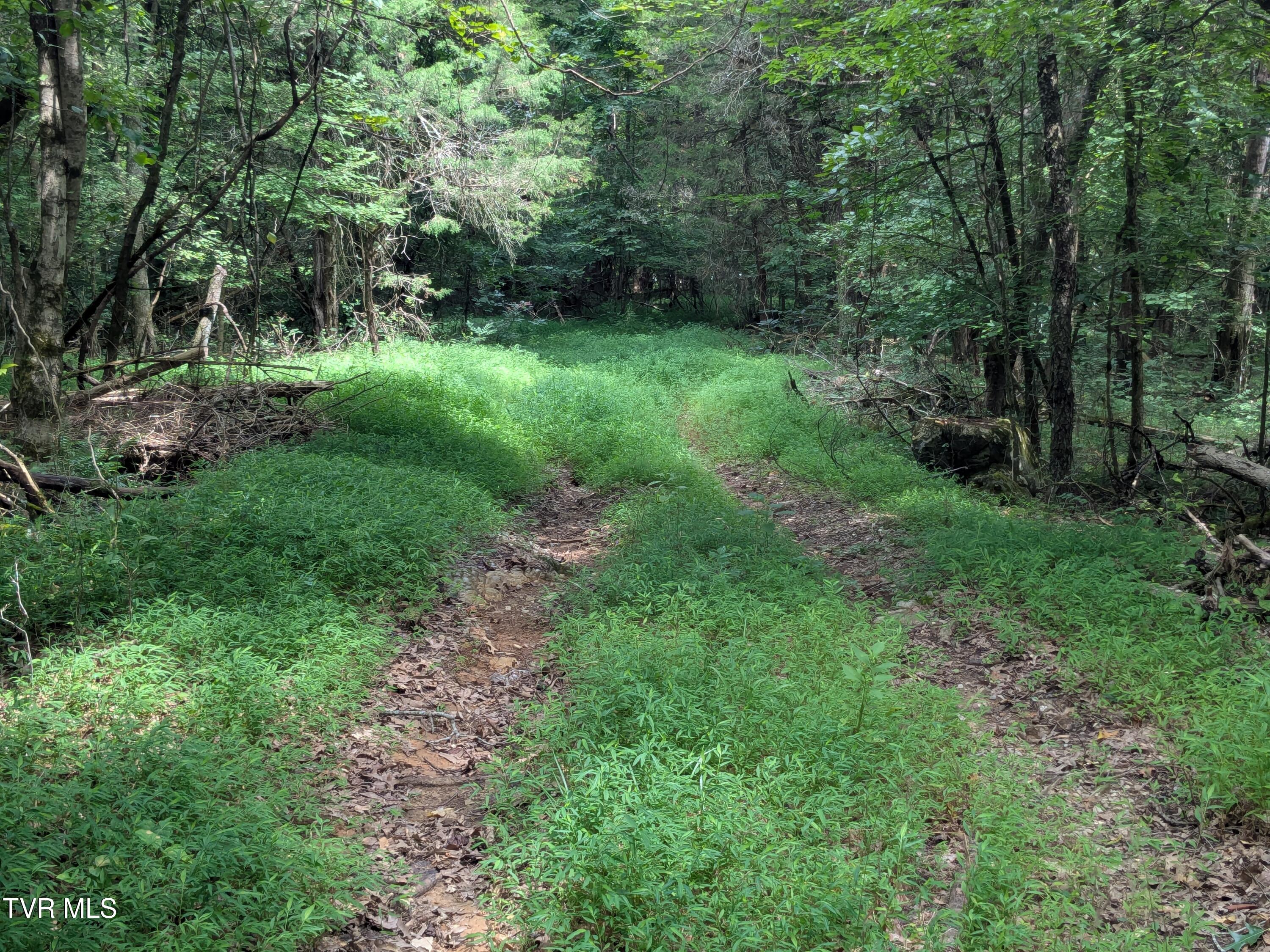 412 Haw Ridge East Piney Flats, TN 37686 - Photo 34 of 36 PXL_20250801_164633536 (1)