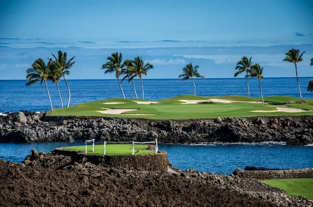 a view of a table and chairs in the garden