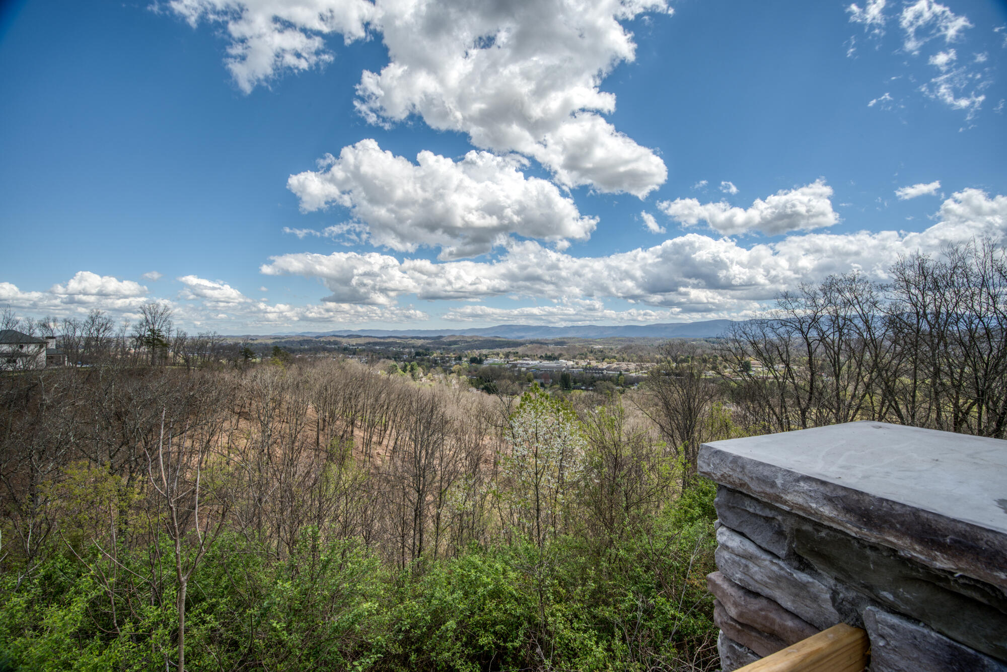 149 Lick Meadow Road Bristol, TN 37620 - Photo 47 of 61 DSC_7316_12