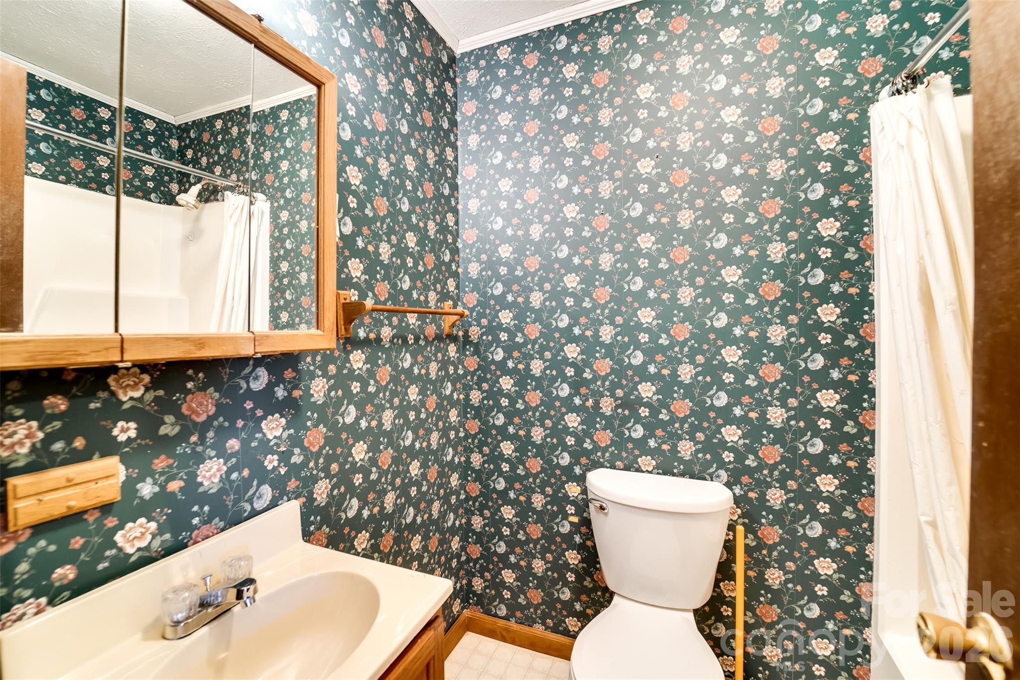 21 Queen Street Sylva, NC 28779 - Photo 13 of 45 a bathroom with a sink and mirror