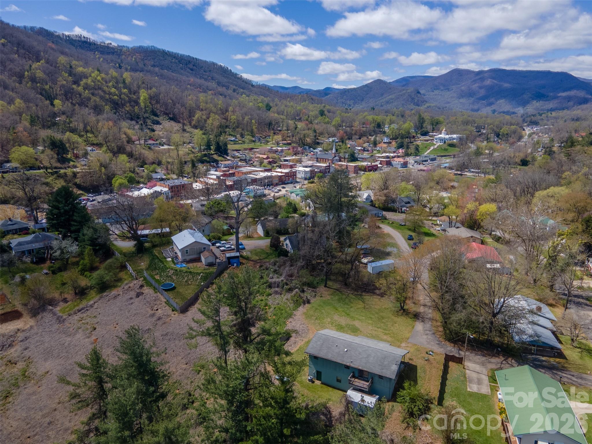 21 Queen Street Sylva, NC 28779 - Photo 43 of 45 a view of a city with mountains in the background