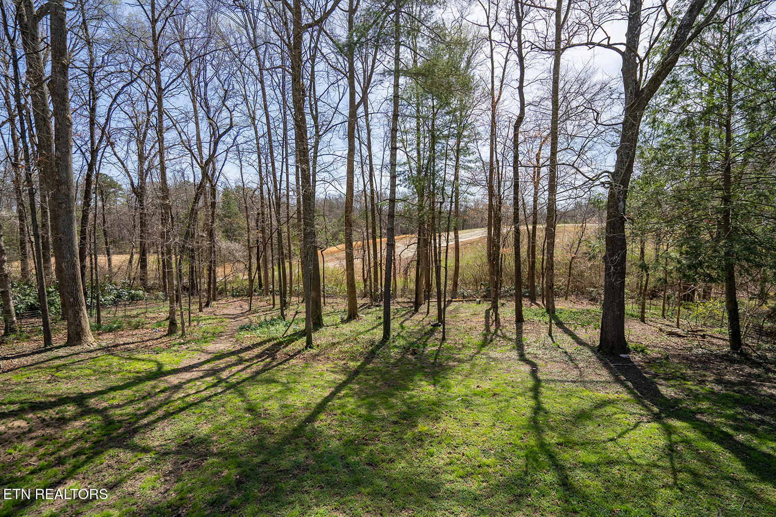 200 Oak Road Norris, TN 37828 - Photo 25 of 29 200 Oak Road - Exterior-13