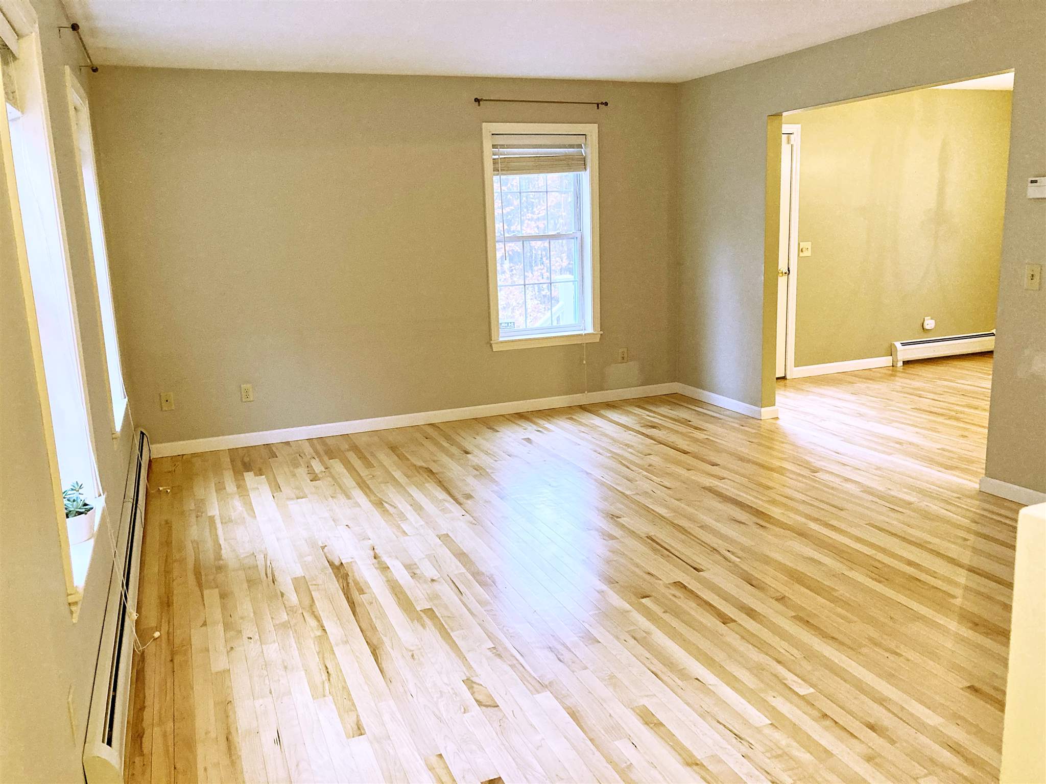 19 Park Street Andover, NH 03216 - Photo 20 of 38