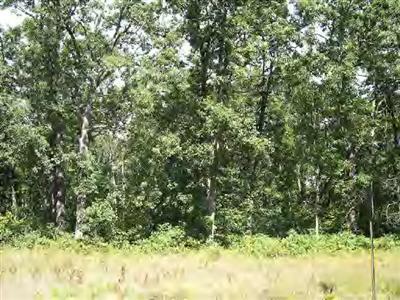 6000 West 10 1/2 Mile Road Irons, MI 49644 - Photo 1 of 2 Primary Photo