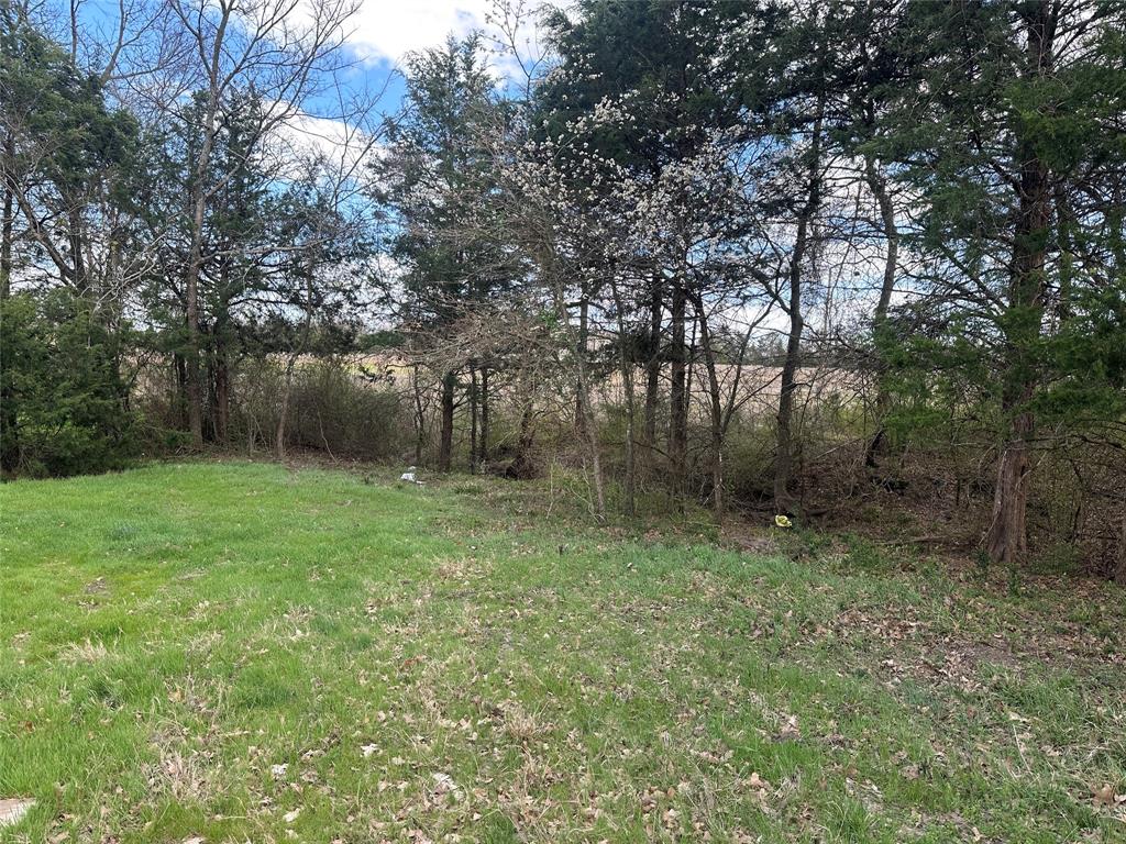 230 Largo Street Bonham, TX 75418 - Photo 8 of 34 a backyard of a house with lots of green space