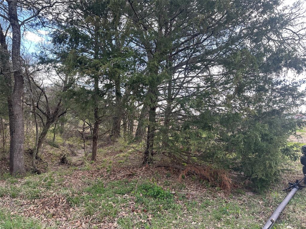 230 Largo Street Bonham, TX 75418 - Photo 9 of 34 a view of a forest with trees in the background