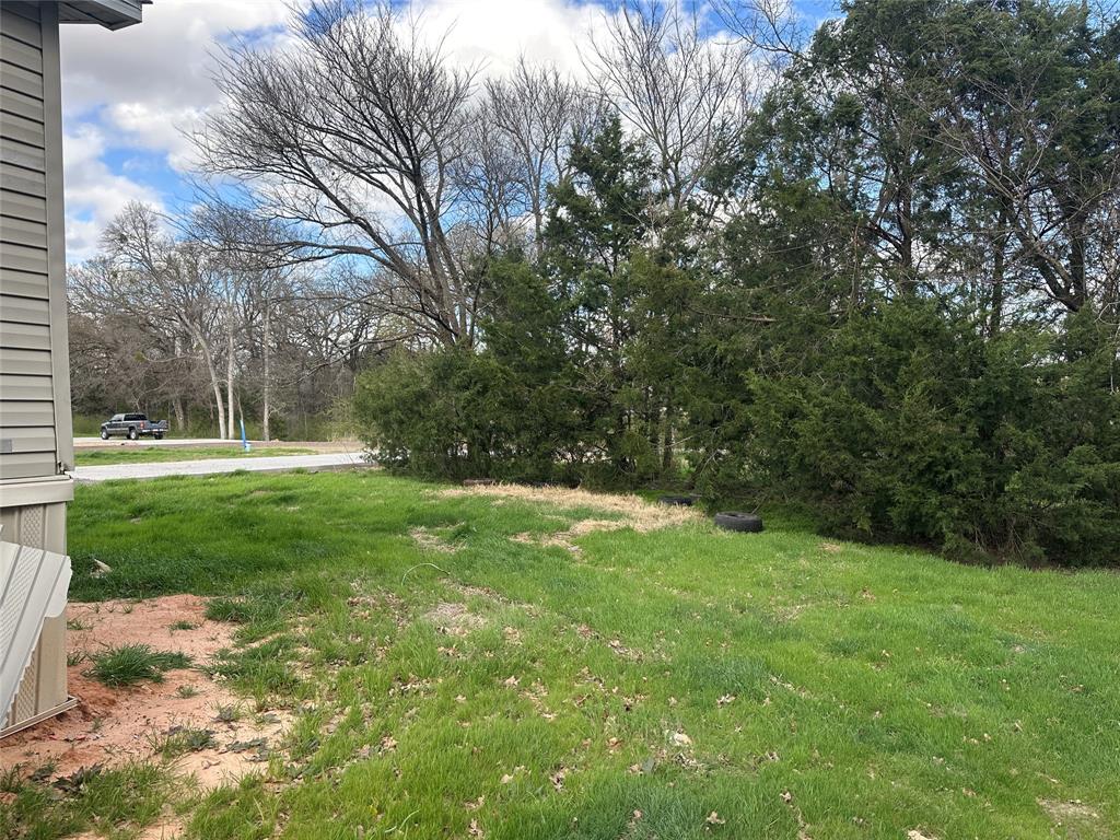230 Largo Street Bonham, TX 75418 - Photo 10 of 34 a view of a park with large trees
