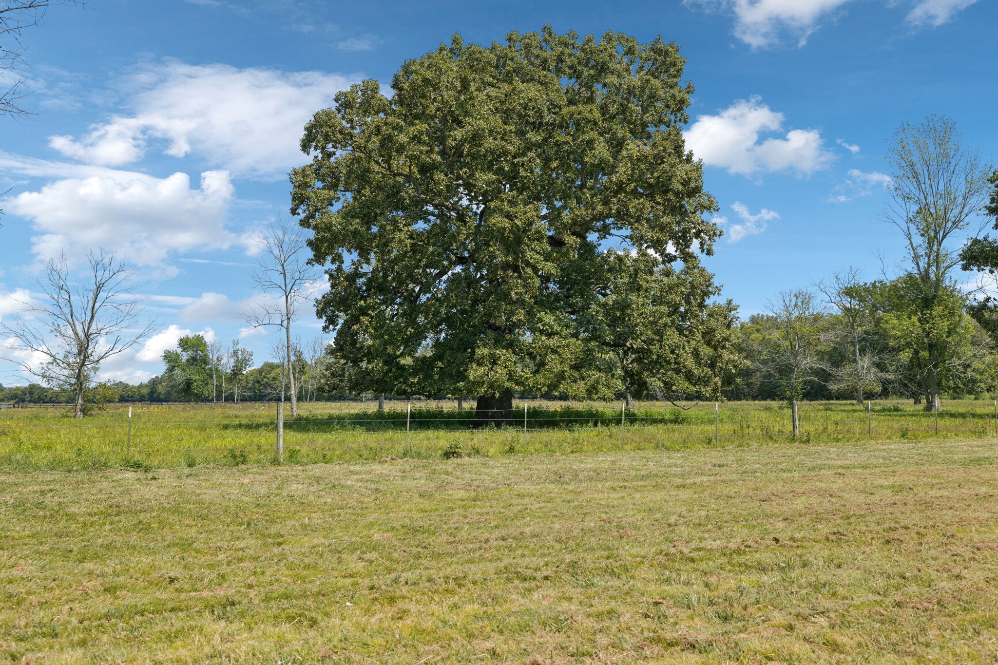 1650 Kingdom Road Bell Buckle, TN 37020 - Photo 55 of 94