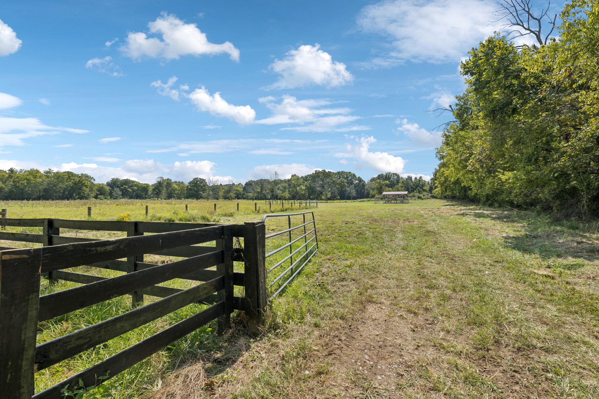 1650 Kingdom Road Bell Buckle, TN 37020 - Photo 62 of 94