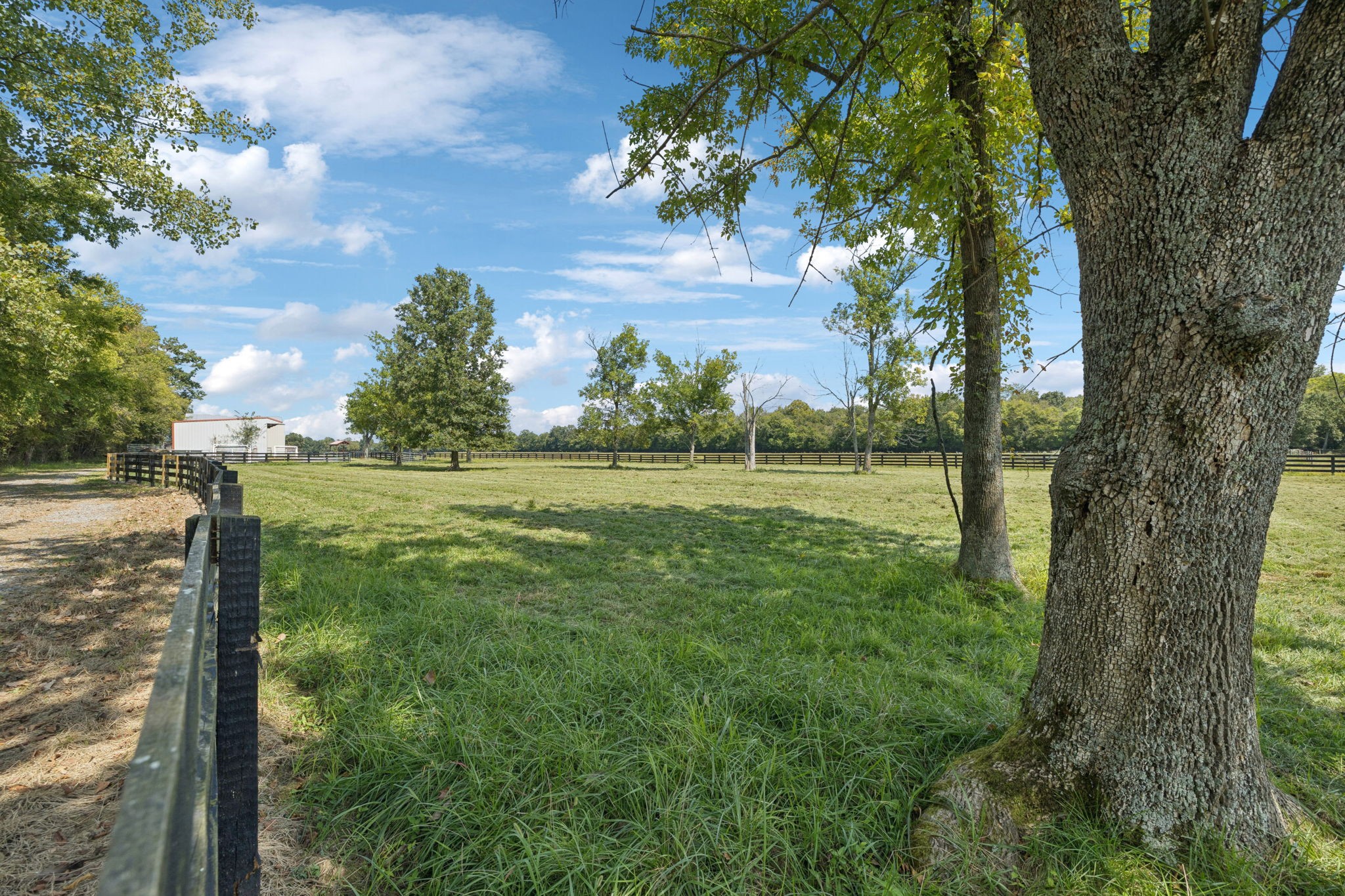 1650 Kingdom Road Bell Buckle, TN 37020 - Photo 63 of 94
