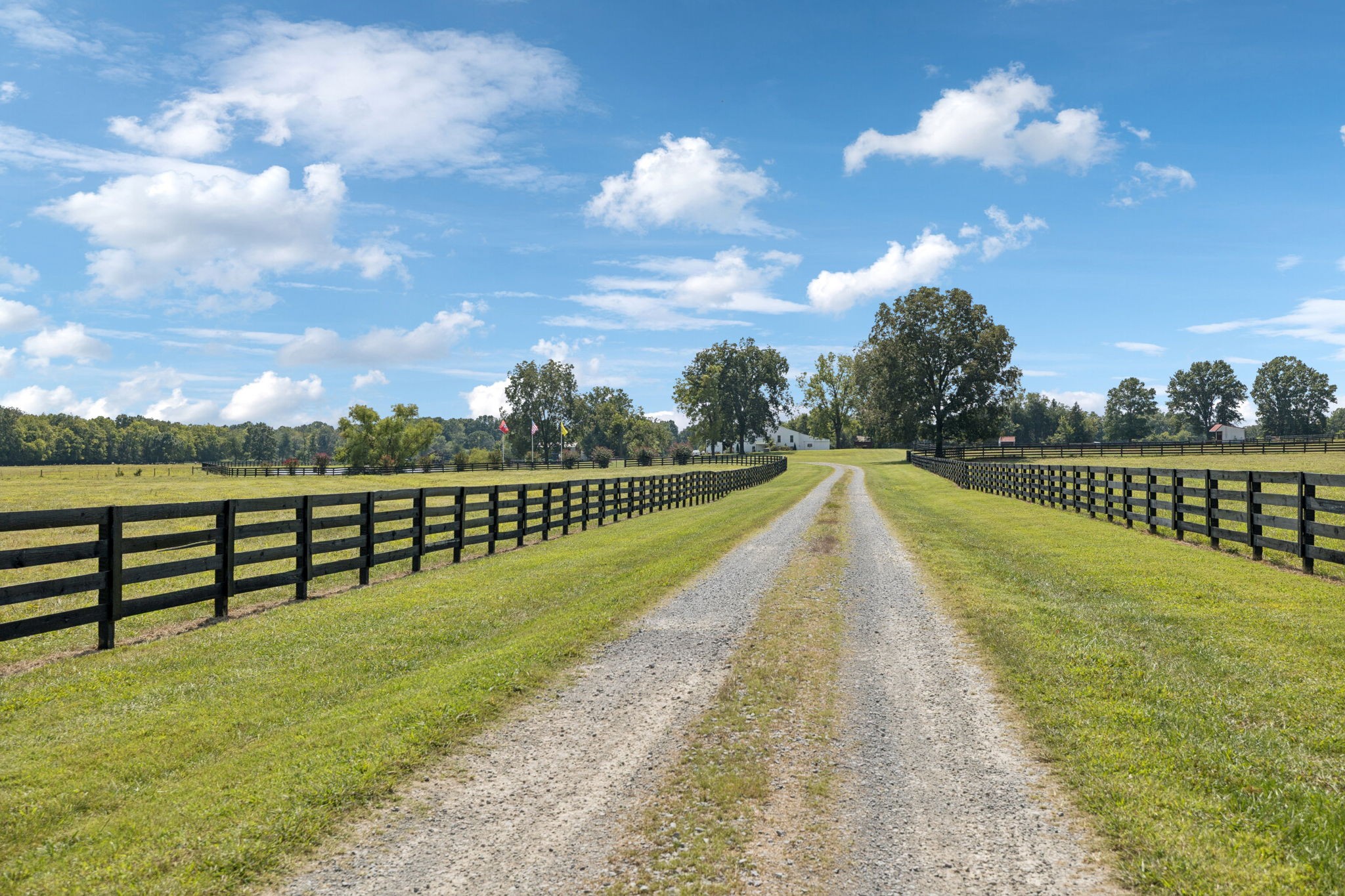 1650 Kingdom Road Bell Buckle, TN 37020 - Photo 66 of 94