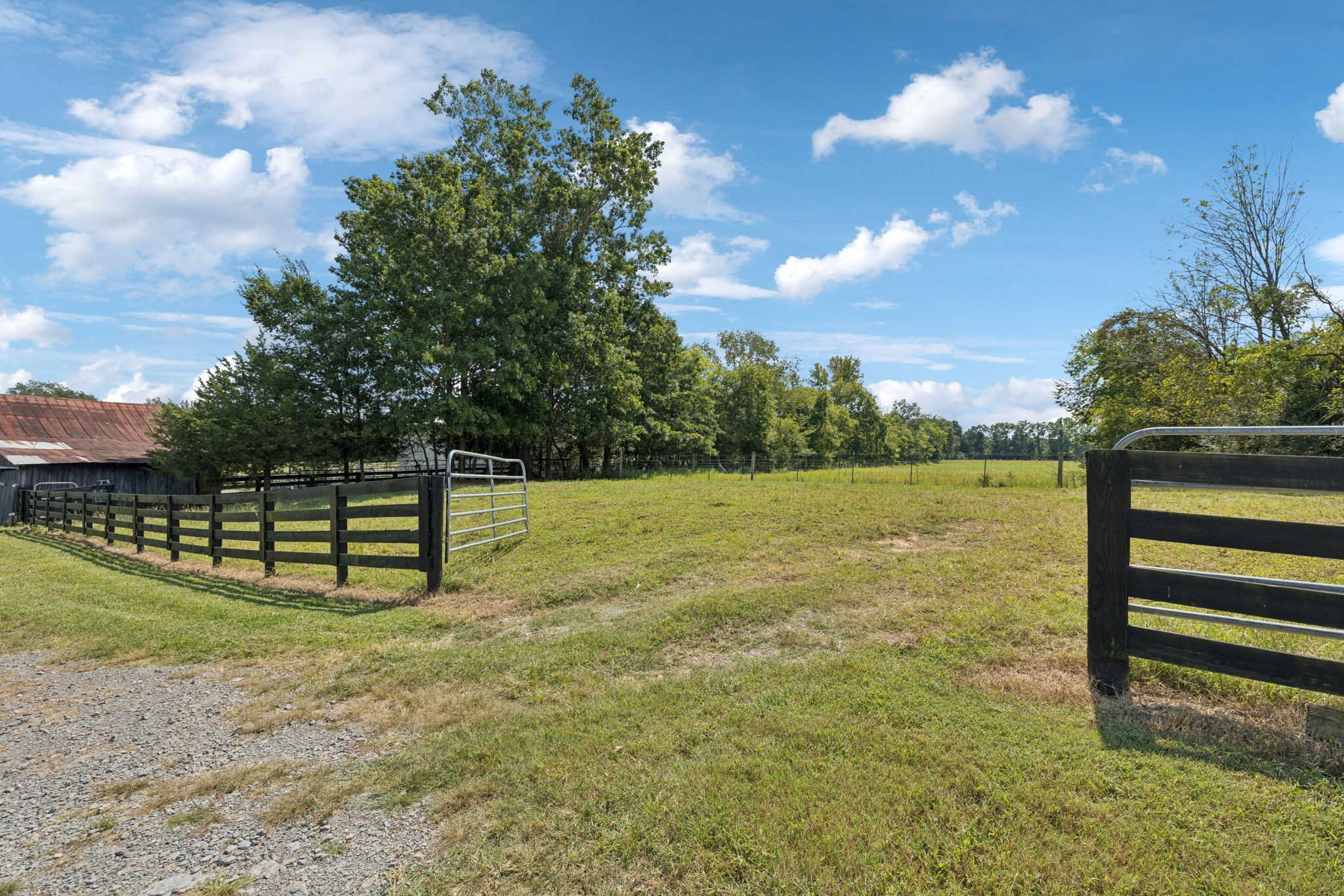 1650 Kingdom Road Bell Buckle, TN 37020 - Photo 68 of 94