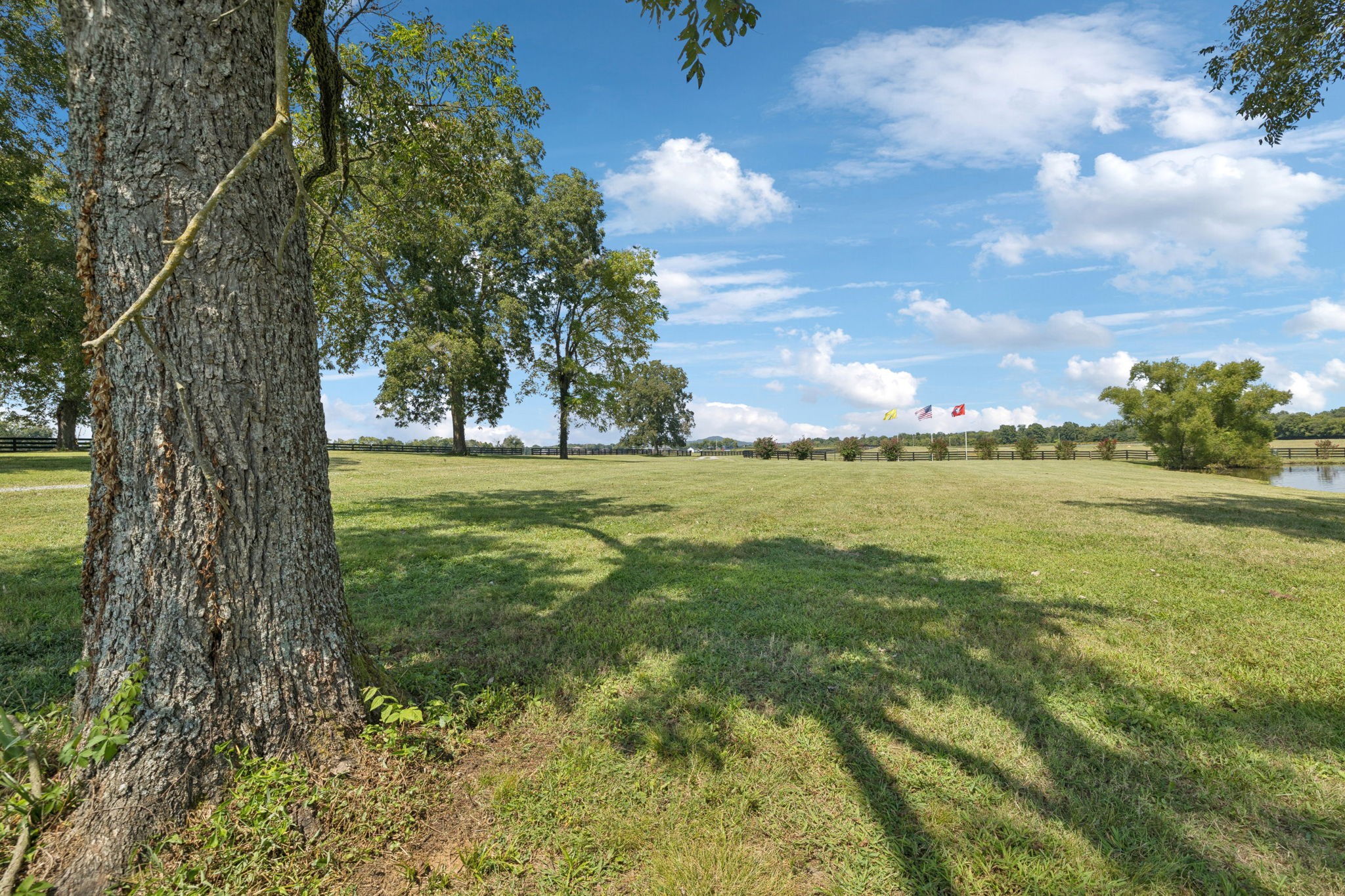 1650 Kingdom Road Bell Buckle, TN 37020 - Photo 78 of 94