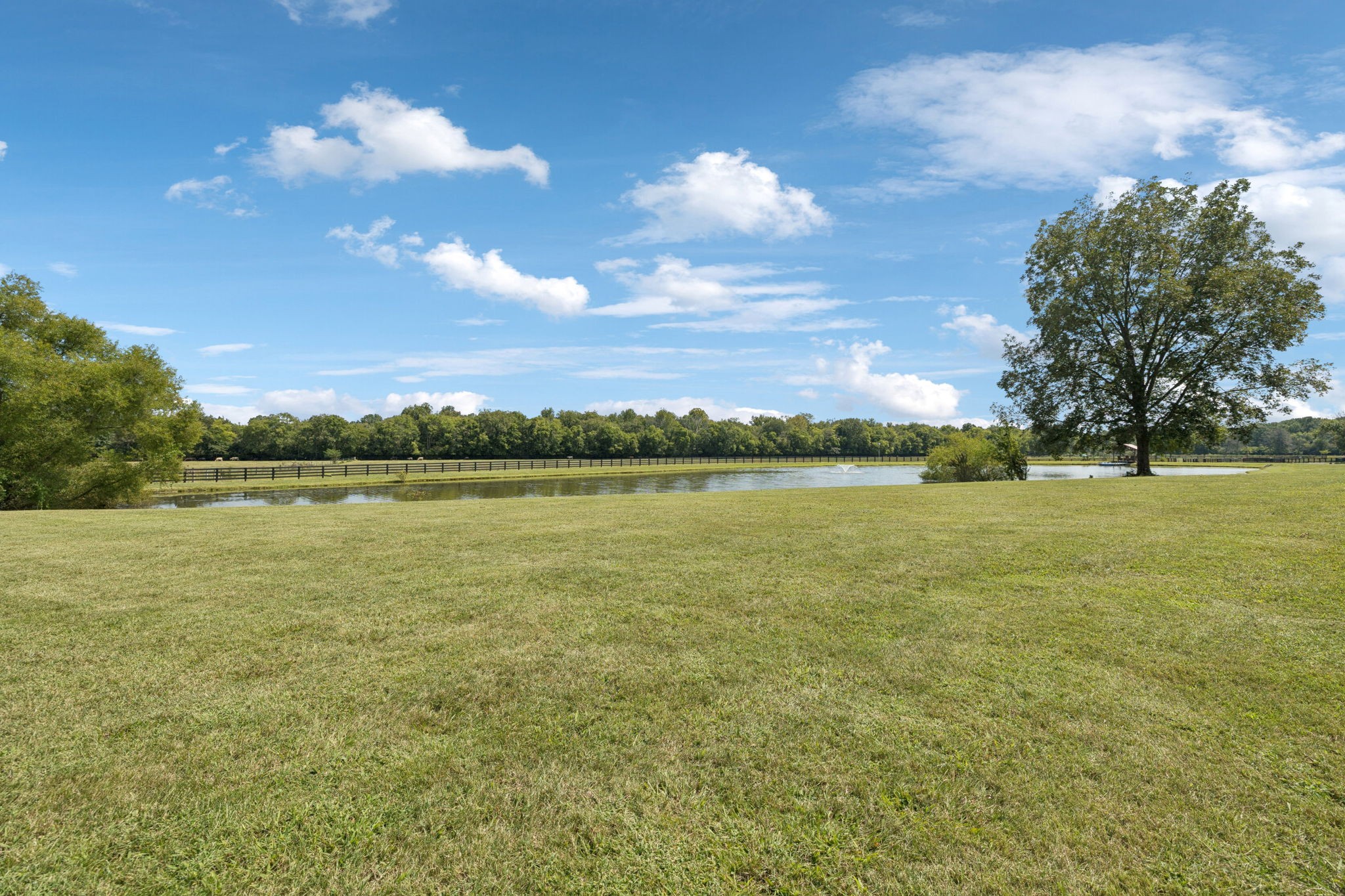 1650 Kingdom Road Bell Buckle, TN 37020 - Photo 79 of 94
