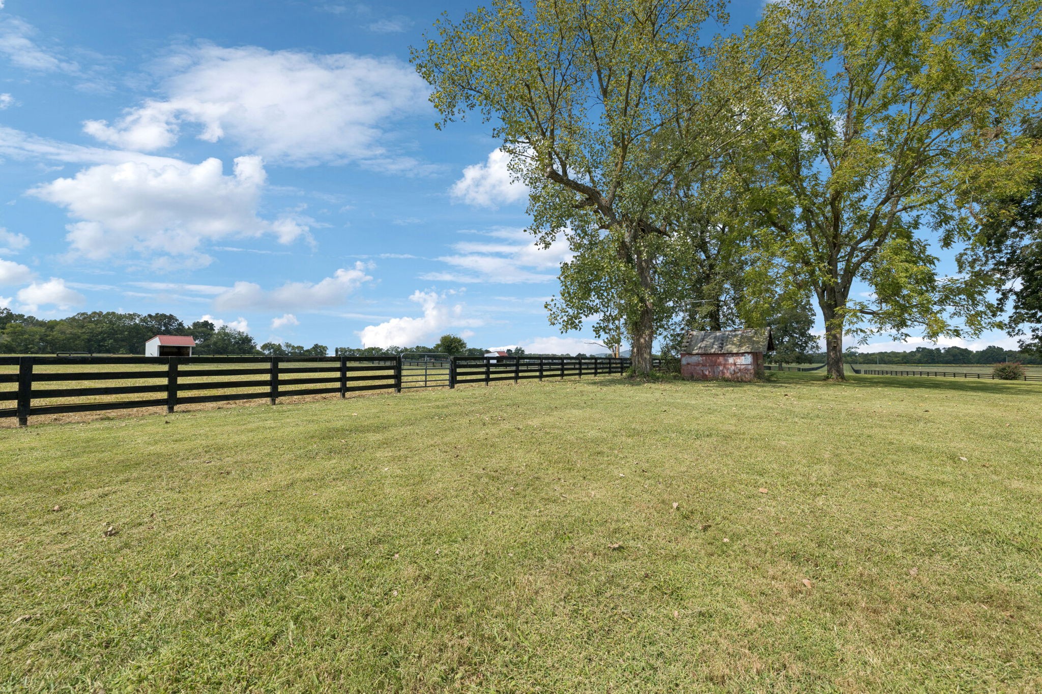 1650 Kingdom Road Bell Buckle, TN 37020 - Photo 83 of 94