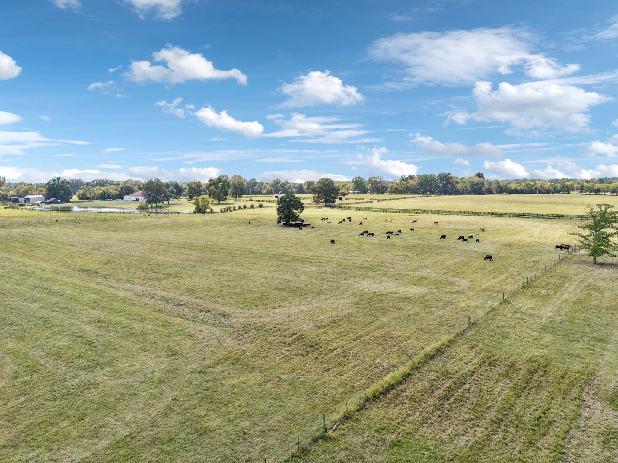 1650 Kingdom Road Bell Buckle, TN 37020 - Photo 84 of 94