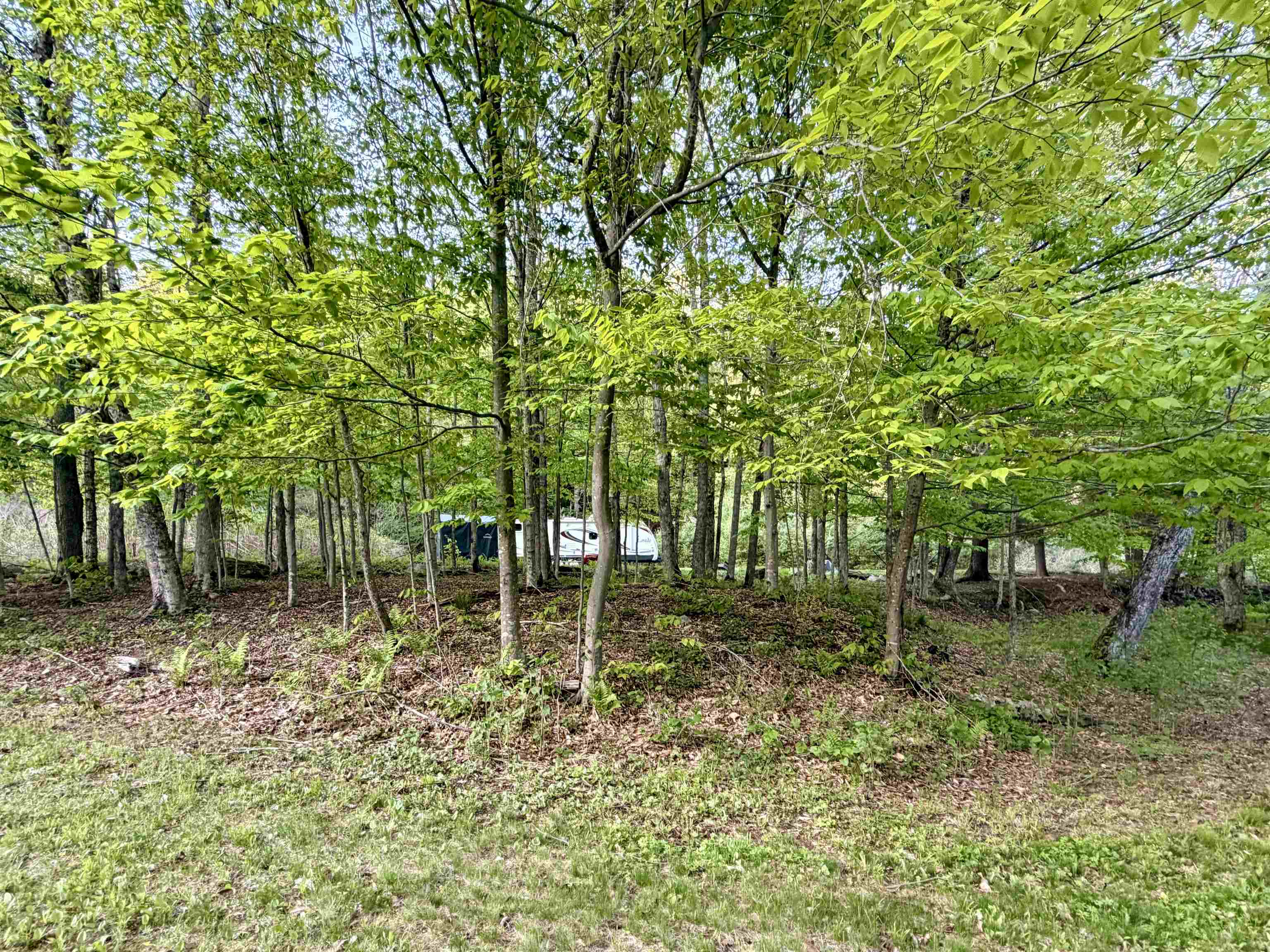 250 Fenton Road Chester, VT 05143 - Photo 15 of 29