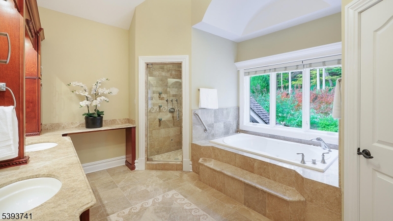 115 Old Somerset Road Watchung, NJ 07069 - Photo 27 of 48