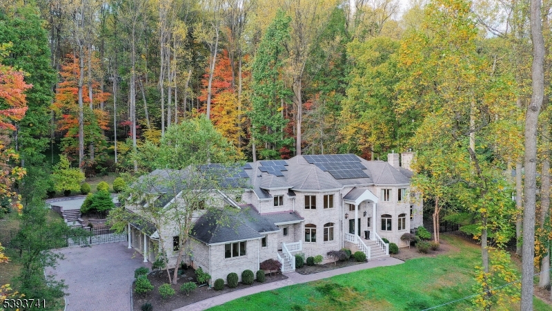 115 Old Somerset Road Watchung, NJ 07069 - Photo 3 of 48