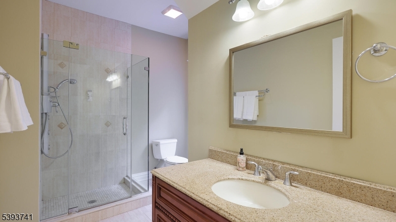 115 Old Somerset Road Watchung, NJ 07069 - Photo 37 of 48
