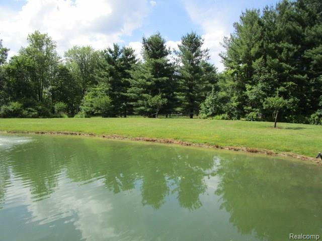 10382 Horton Road Goodrich, MI 48438 - Photo 30 of 72 IMG_5774.JPG
