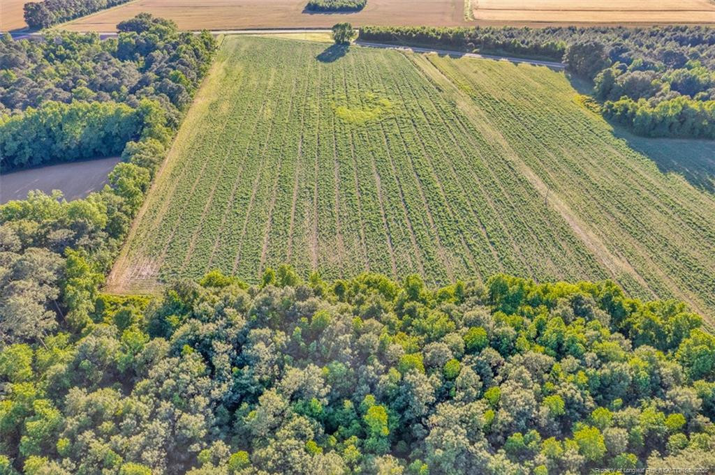 0 Pope Wray (lot 1) Road Faison, NC 28341 - Photo 6 of 23 Photo 6