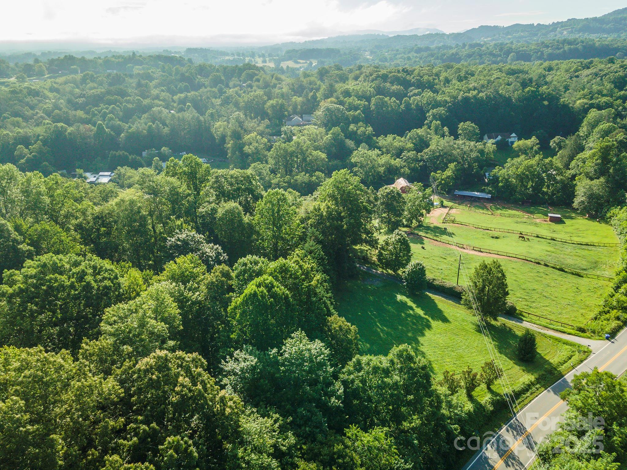 269 Newfound Road Leicester, NC 28748 - Photo 29 of 35 a view of a garden with an outdoor space
