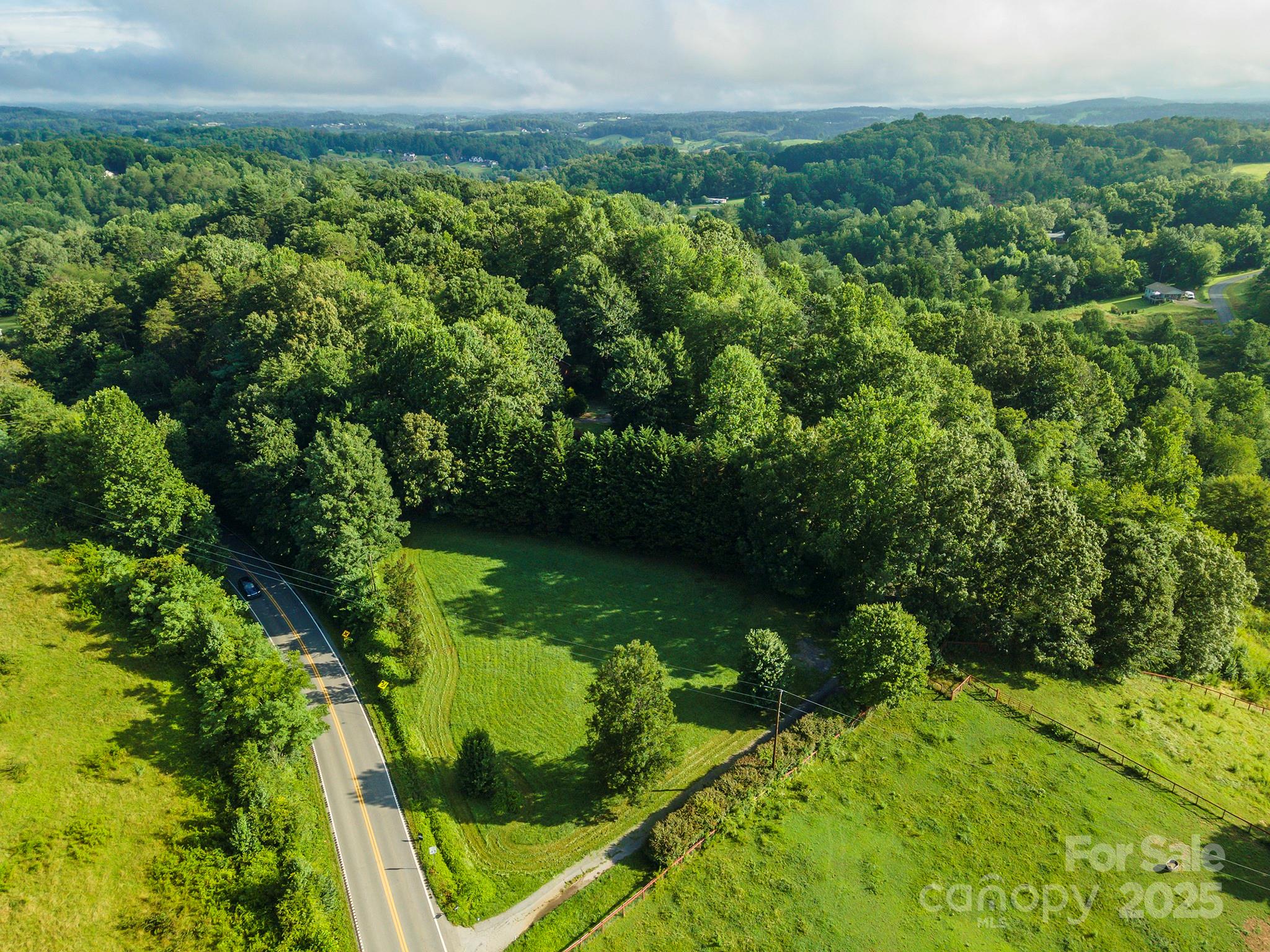 269 Newfound Road Leicester, NC 28748 - Photo 3 of 35 a view of a garden with a building in the background
