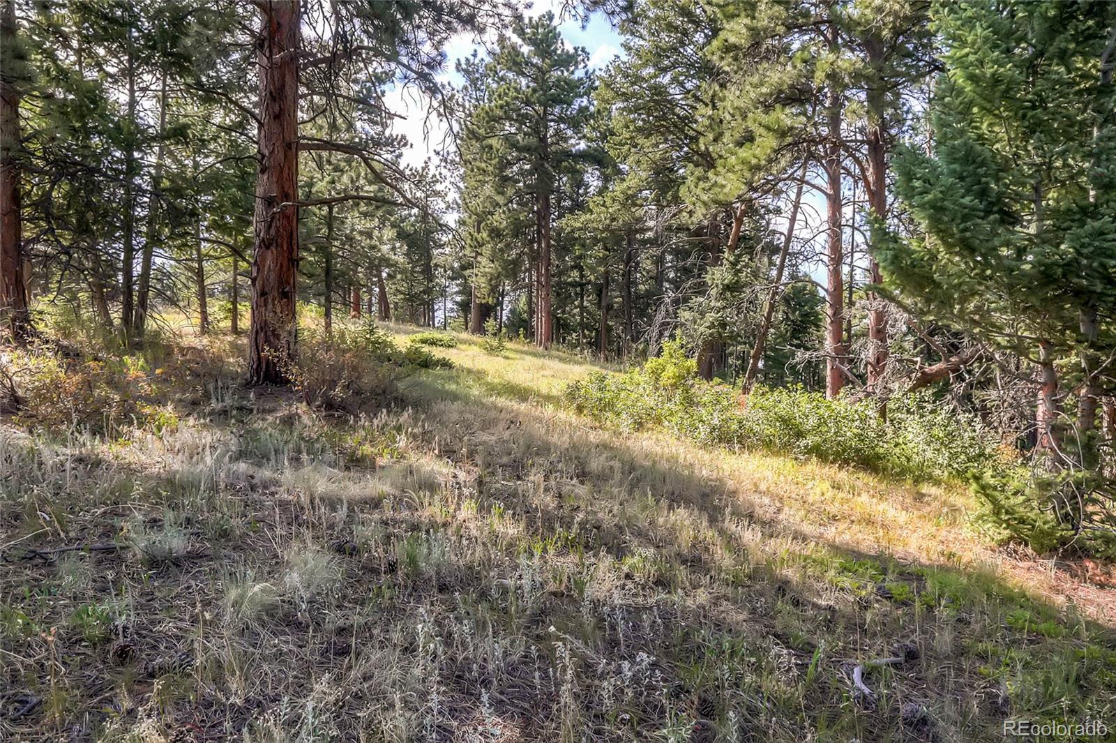 11648 Ranch Elsie Road Golden, CO 80403 - Photo 11 of 13 a view of outdoor space and trees