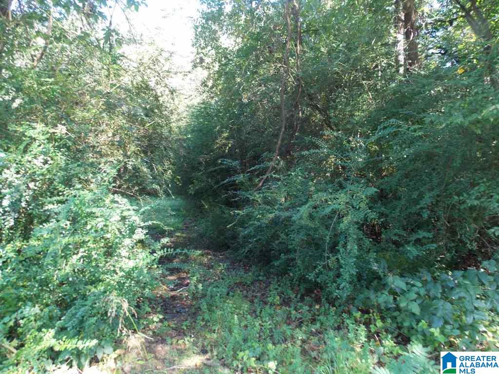 375 Marble Quarry Road, Unit 7 ACRES Talladega, AL 35160 - Photo 26 of 33