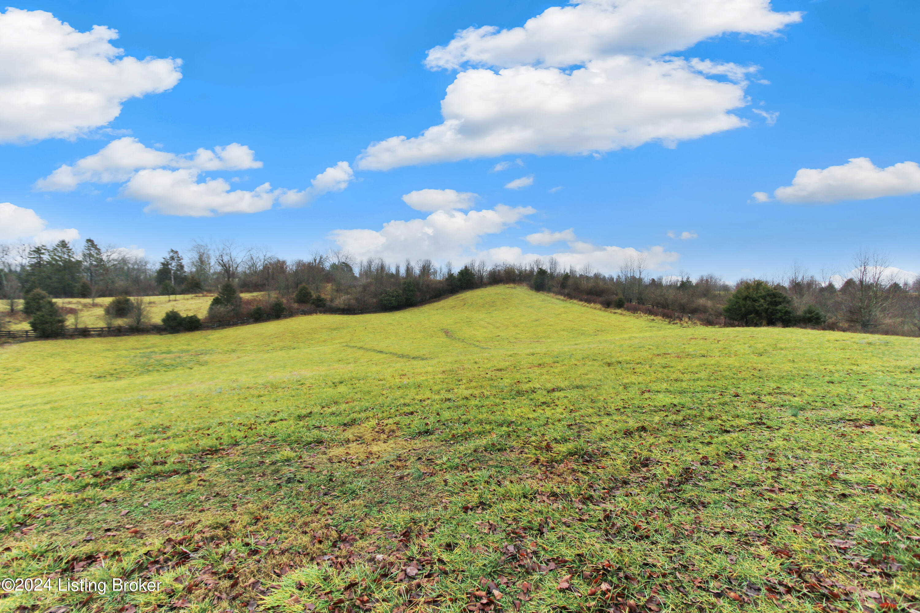 1464 Wildcat Road Lawrenceburg, KY 40342 - Photo 40 of 44 40