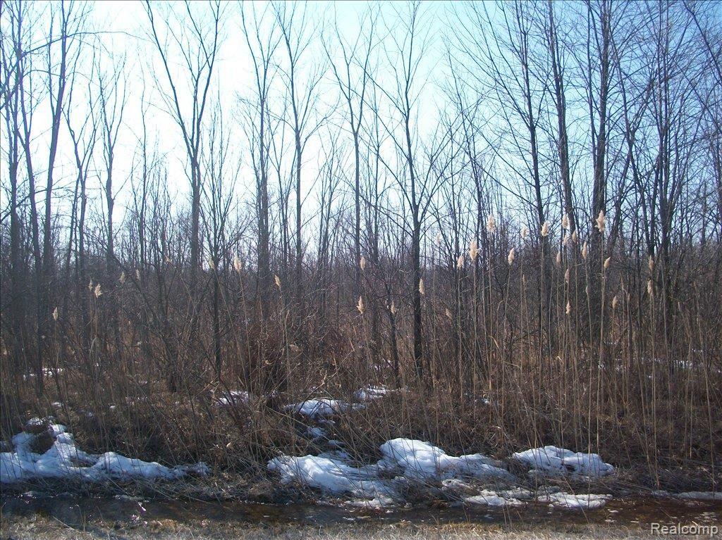 0 Radike Road East China, MI 48054 - Photo 3 of 4 100_5591