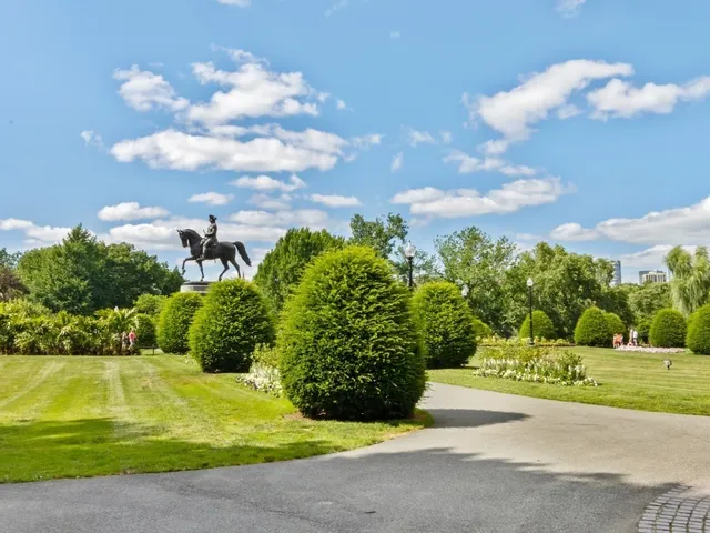 $13,000 | 300 Boylston Street, Unit 514, Boston, MA 02116