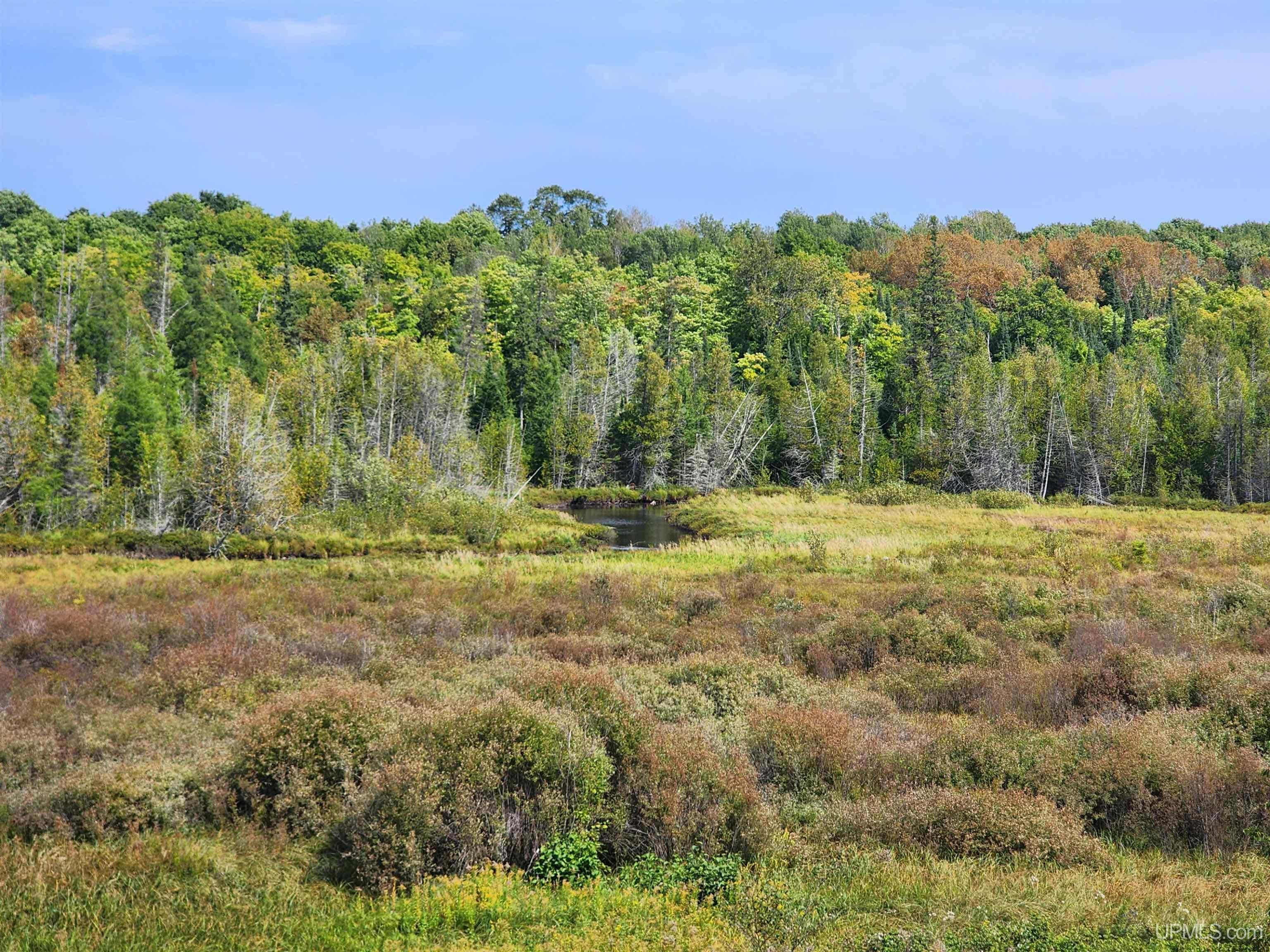 3054 Country Lane Rd Road Eben Junction, MI 49825 - Photo 67 of 78 Gallery Image 67