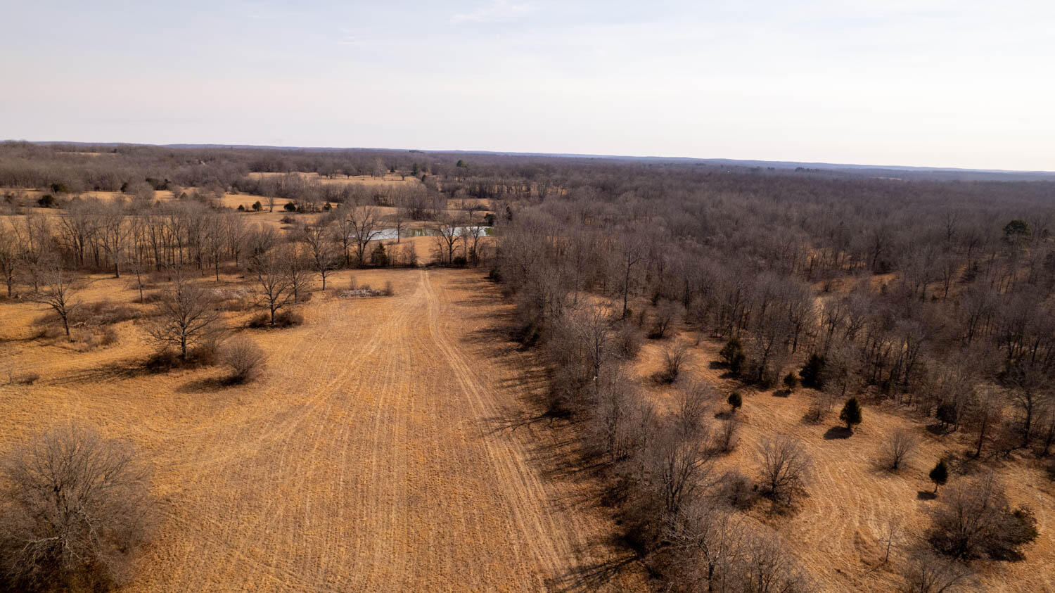 0 Pleasant Run Road Mammoth Spring, AR 72554 - Photo 10 of 35 329 acres 027