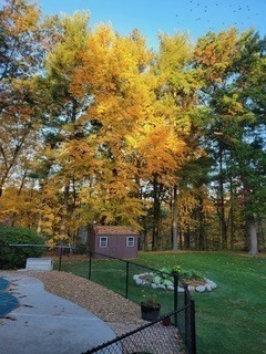 20 Bayberry Road Westford, MA 01886 - Photo 29 of 35