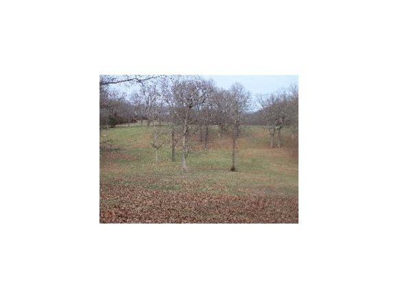 Statton Road Walnut Shade, MO 65771 - Photo 1 of 1 Primary Photo