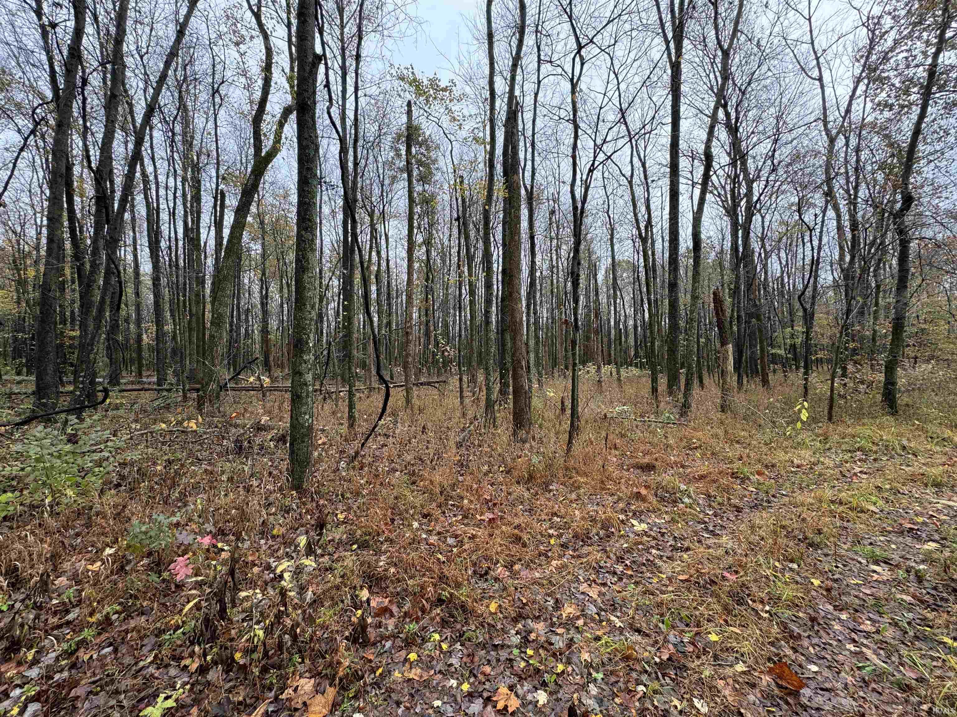 4761 West Wheatonville Road Elberfeld, IN 47613 - Photo 15 of 35 Gallery Image 15