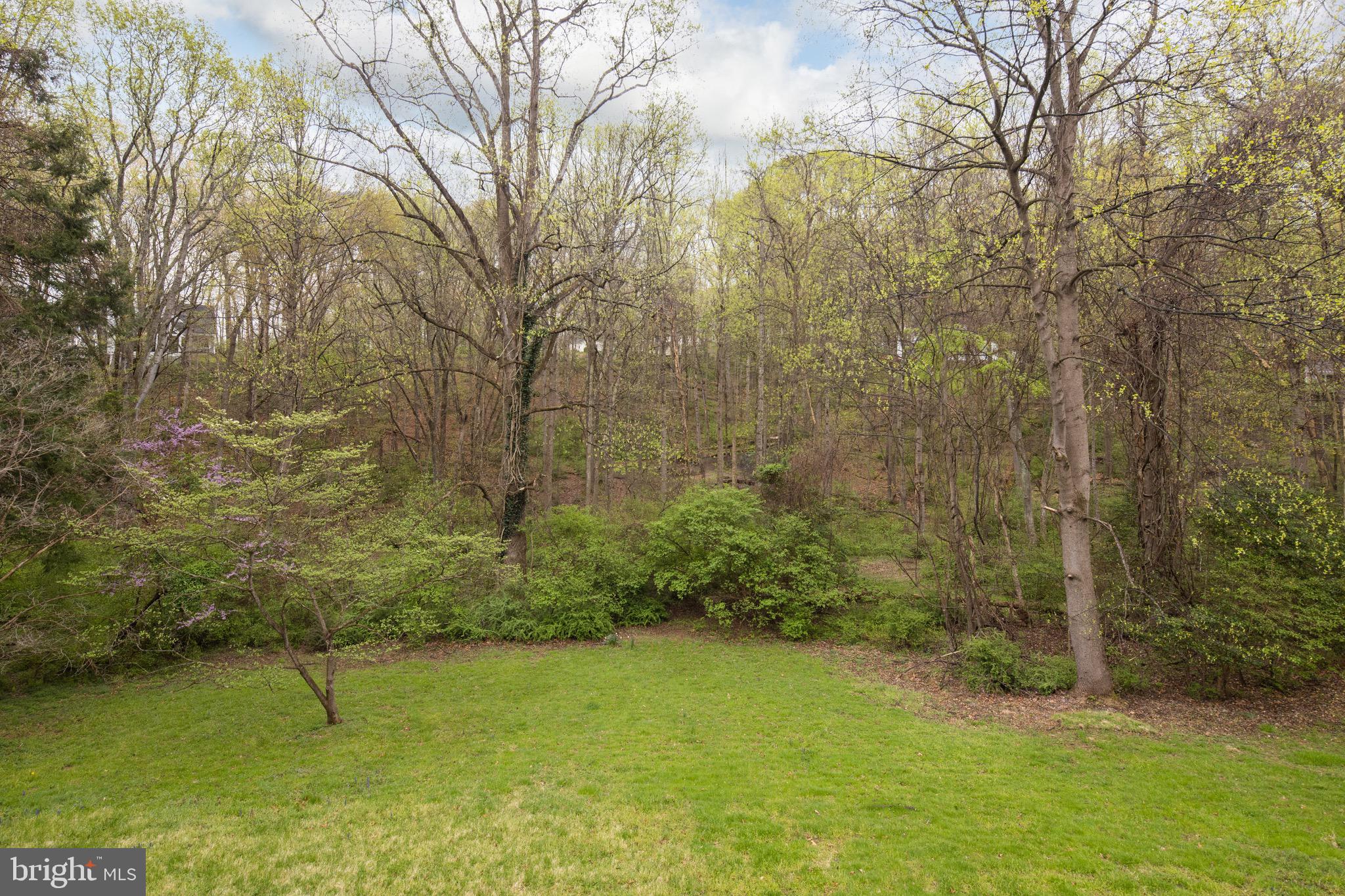 1417 Crowell Road Vienna, VA 22182 - Photo 40 of 44 Gallery Image 40