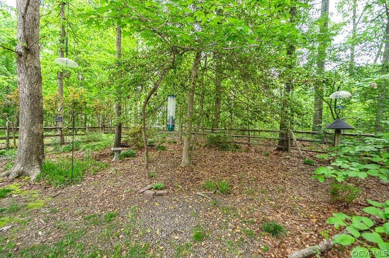 9724 Kendrick Road North Chesterfield, VA 23236 - Photo 35 of 38 a big yard with lots of green space and trees