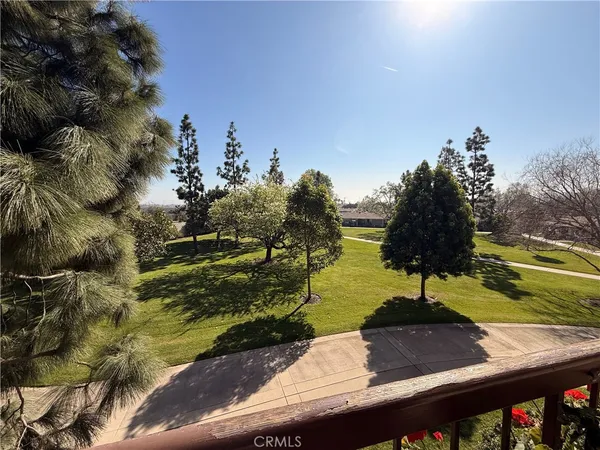 a view of a yard with a tree