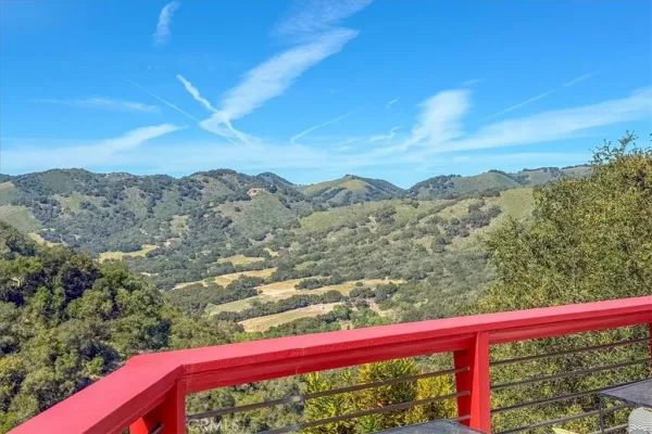 a view of backyard of house