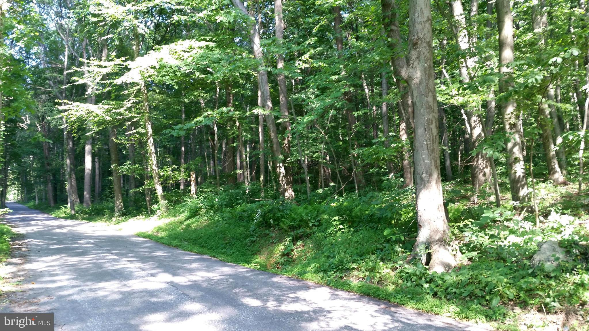 Fox Tower Road Sabillasville, MD 21780 - Photo 1 of 2 a view of forest
