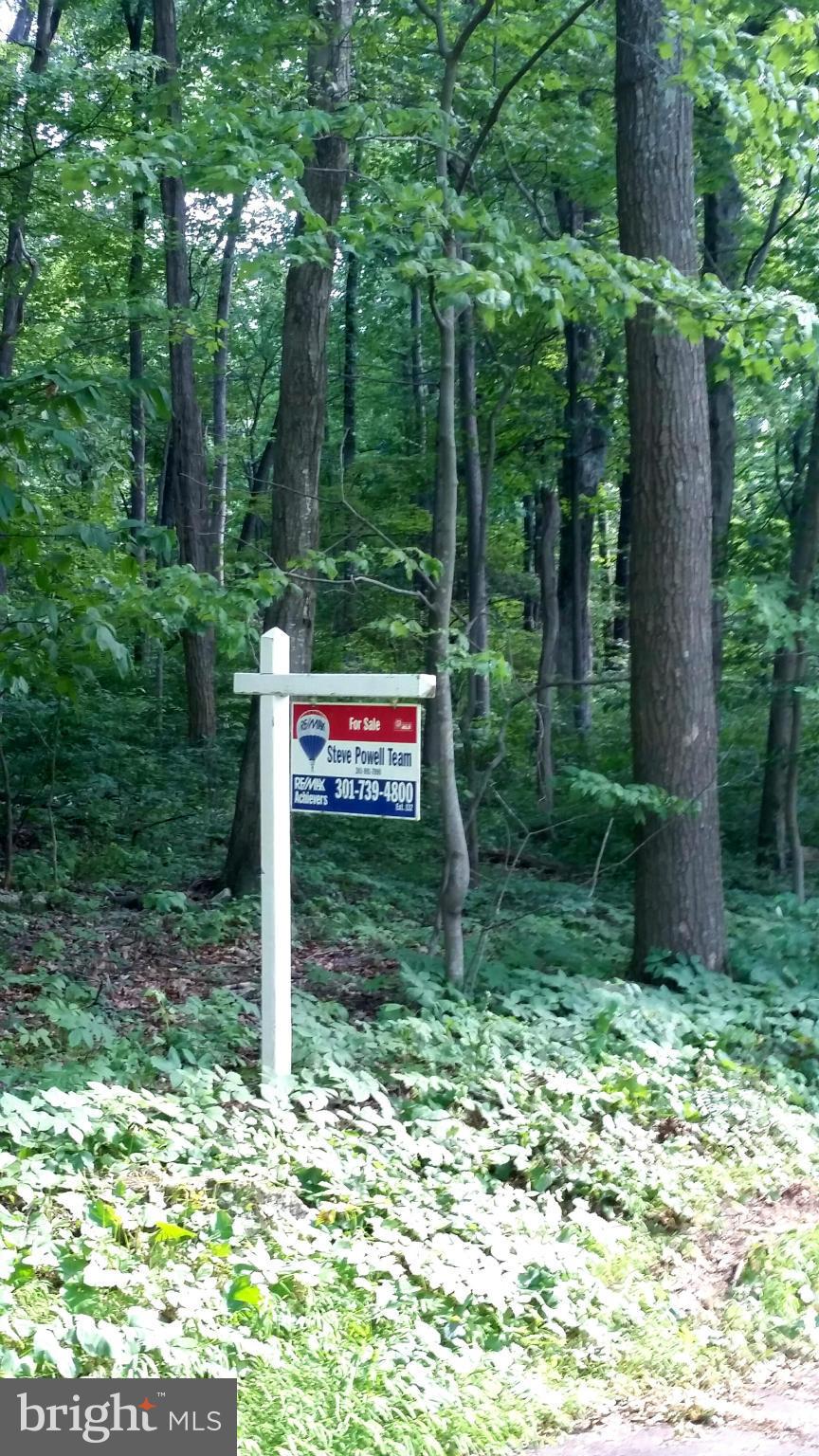 Fox Tower Road Sabillasville, MD 21780 - Photo 2 of 2 a sign board with tall trees