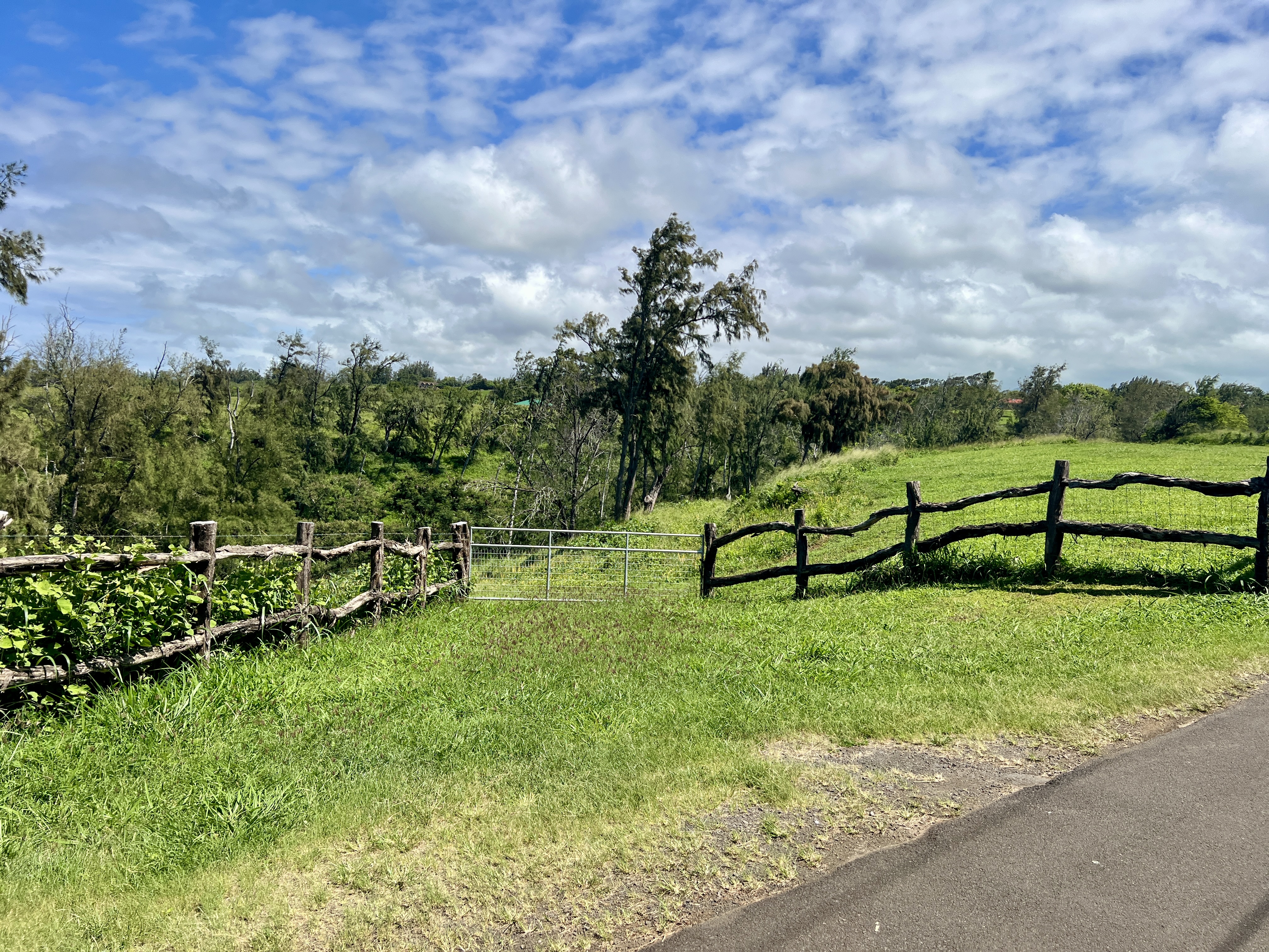 55-199 Hoea Road Hawi, HI 96719 - Photo 4 of 19