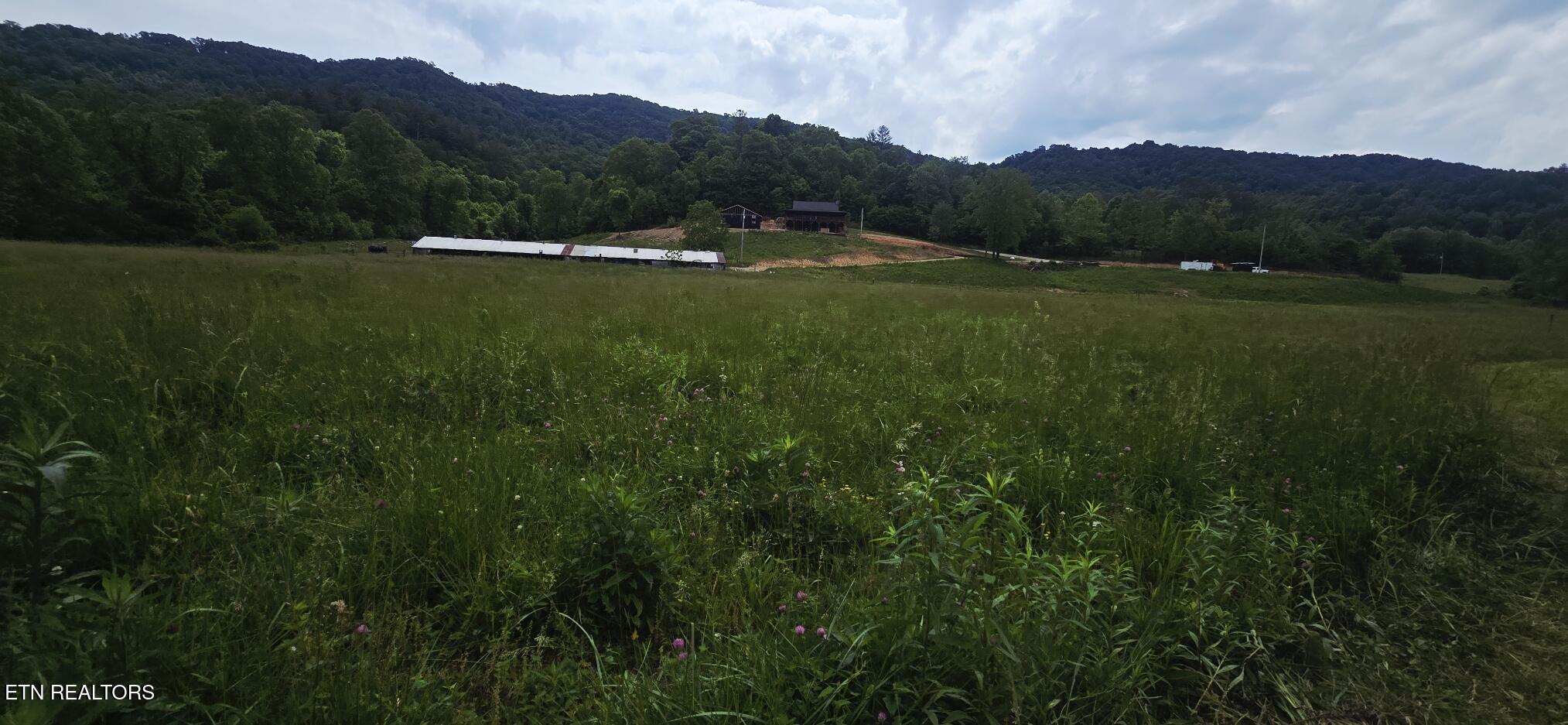 1095 Stanley Creek Road Oneida, TN 37841 - Photo 44 of 57 20260519_114132