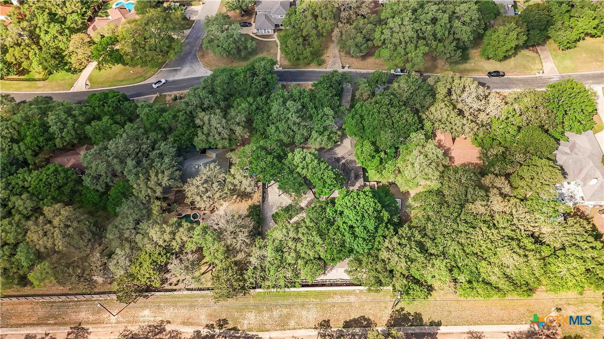 21004 Hickory Bend Garden Ridge, TX 78266 - Photo 11 of 45